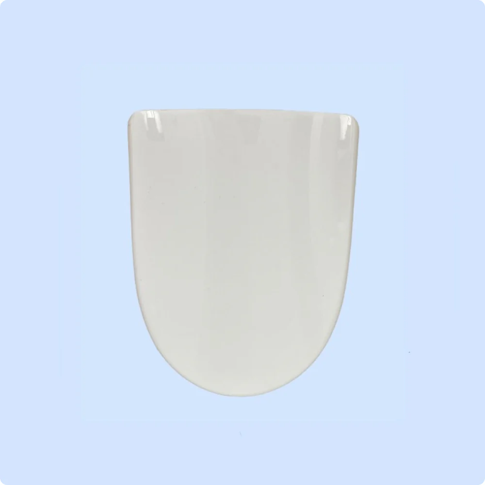 162-Ace-Electric-Bidet-Lid-Round-4.webp Ace Electric Bidet Lid - Round