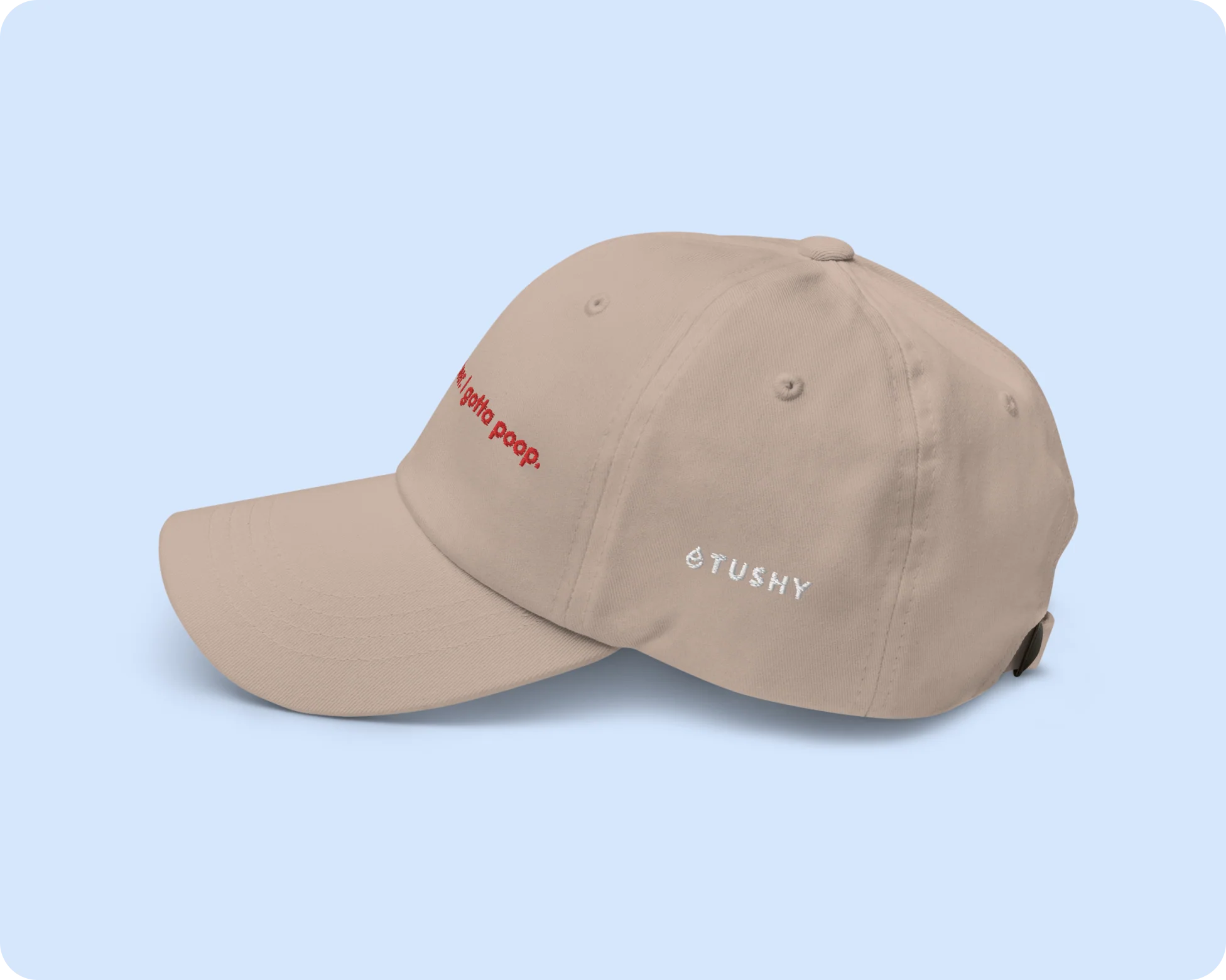 233-Dad-Hat-Narragansett-Beer-X-TUSHY-2.webp Dad Hat: Narragansett Beer X TUSHY