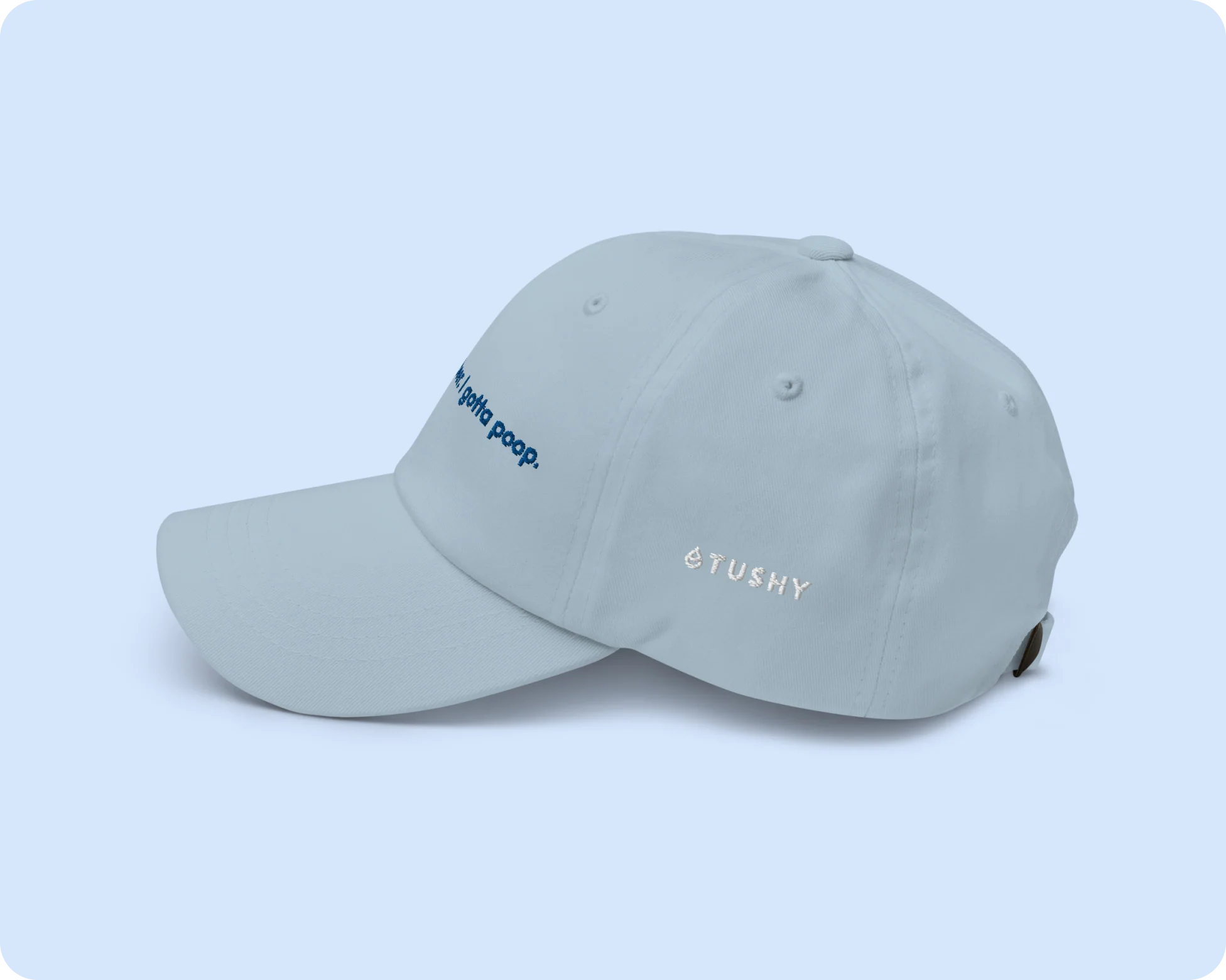 234-Dad-Hat-TUSHY-X-Narragansett-Beer-2.webp Dad Hat: TUSHY X Narragansett Beer