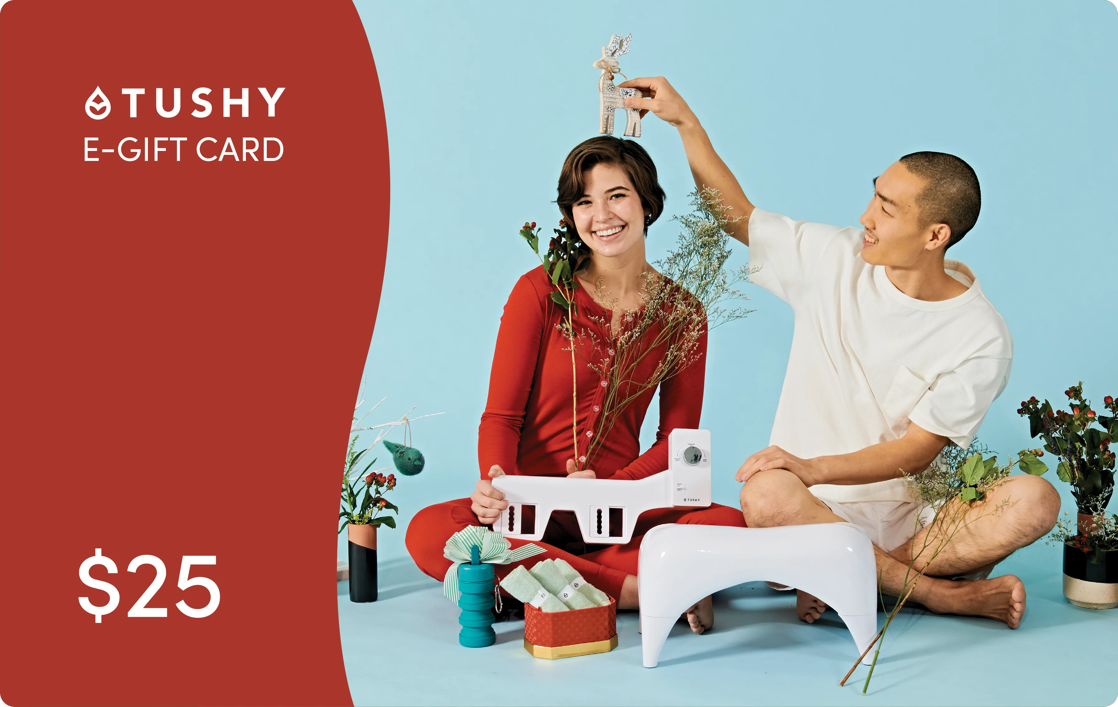 869-TUSHY-E-Gift-Cards-13.webp TUSHY E-Gift Cards