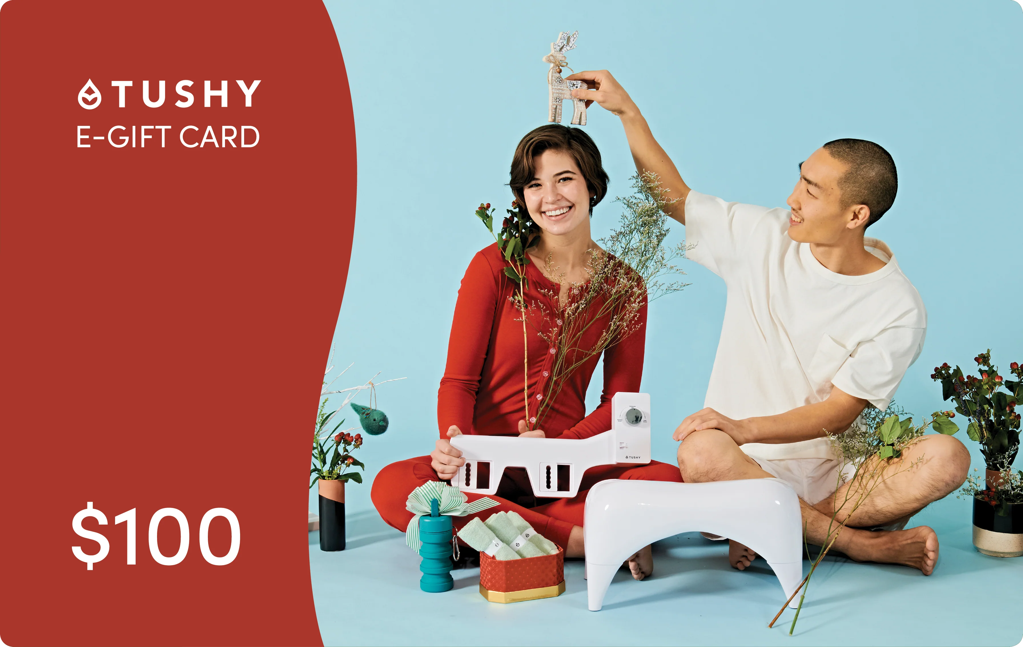 869-TUSHY-E-Gift-Cards-17.webp TUSHY E-Gift Cards
