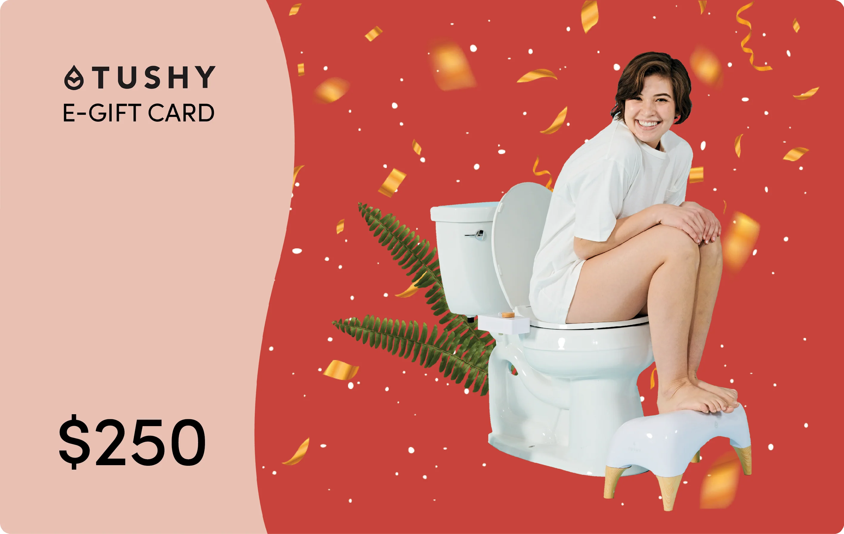 869-TUSHY-E-Gift-Cards-61.webp TUSHY E-Gift Cards
