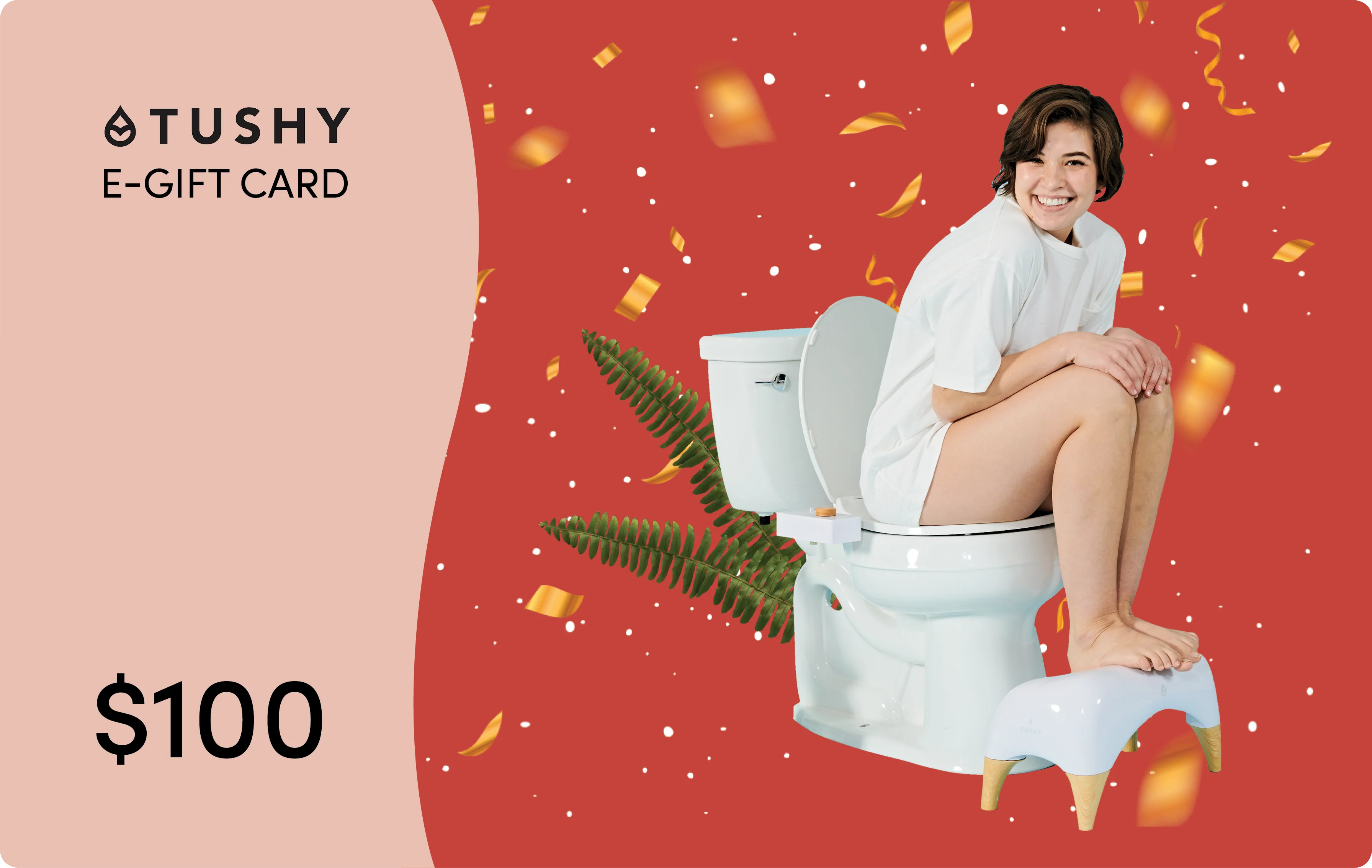 869-TUSHY-E-Gift-Cards-7.webp TUSHY E-Gift Cards